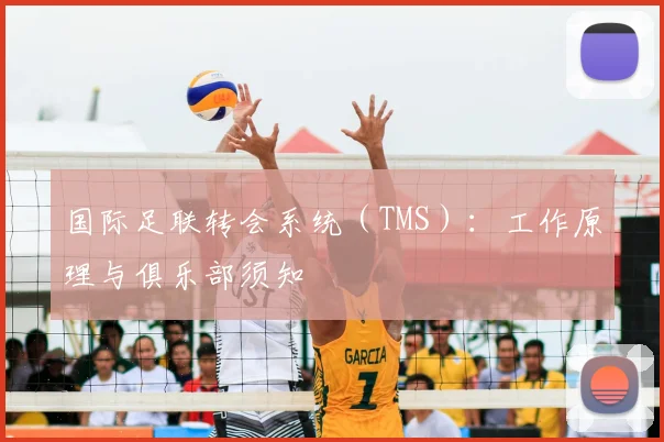 国际足联转会系统(TMS):工作原理与俱乐部须知
