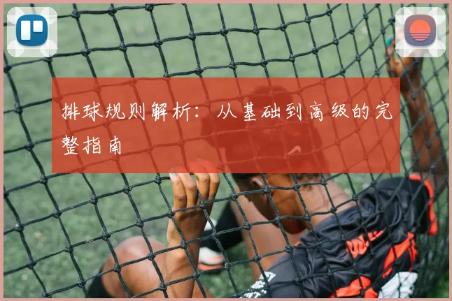 排球规则解析:从基础到高级的完整指南